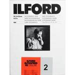 Ilford Ilfospeed RC DLX 5x7/100 #2 Pearl