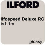 Ilford Ilfospeed RC DLX 8x10/100 #1 Glossy