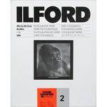 Ilford Ilfospeed RC DLX 8x10/100 #2 Pearl