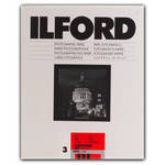Ilford Ilfospeed RC DLX 8x10/100 #3 Pearl