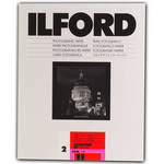 Ilford Ilfospeed RC DLX 8x10/250 #2 Glossy
