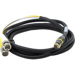 AJA S-Video To Dual BNC Cable - 6 ft.
