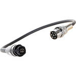 Lumedyne Adapter Cable - Lumedyne Cycler - Quantum Head