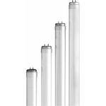 GTI L2032DS Fluorescent Replacement Lamp Kit (20 Lamps)