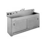Arkay Premium Photo Processing Sink (18x108x6")