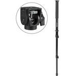 Manfrotto by Bogen Imaging 681B Monopod (Black) with 234 Head
