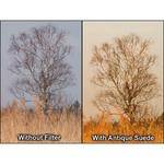 Formatt 4x4"  Graduated Antique Suede 1 Glass Filter - Hard Edge