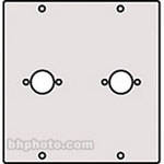 Raxxess MIDI-2 Midi Modular Connector Panel