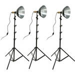 Impact Three 12" Floodlight Kit (8' Stands)