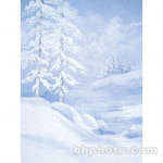 Studio Dynamics 5x6' Canvas Scenic Background LSM - Majestic