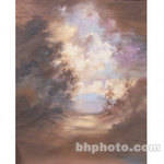 Studio Dynamics 5x6' Canvas Scenic Background LSM - Florentina