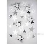 Studio Dynamics 5x6' Canvas Scenic Background LSM - Gray Stars