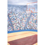 Studio Dynamics 5x6' Canvas Scenic Background LSM - Basketball