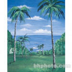 Studio Dynamics 6x7' Canvas Scenic Background LSM - Nassau