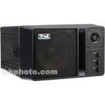Anchor-Audio AN-130 - Powered Two Way P.A. Speaker (Black)