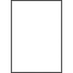 Botero #000 Muslin Background (10x12', White)