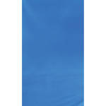 Botero #022 Muslin Background (10x12', Turquoise Blue)