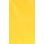 Botero #025 Muslin Background (10x12', Yellow)