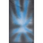 Botero #030 Muslin Background (10x12', Dark, Medium Blue)