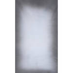Botero #032 Muslin Background (10x12', Dark Grey, Light Center)