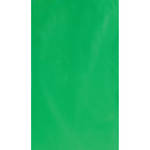 Botero #026 10x24' Muslin Background - Chroma-Key Green