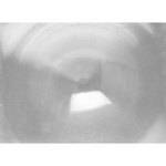 Linhof Tela Fresnel 5x7
