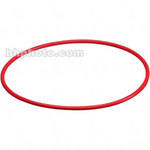 Olympus Front Lid O-Ring for PFL-01