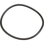 Ikelite O-Ring for DS-125 Battery Door