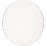 Lowel Diffused Glass ONLY for Pro and i-Light