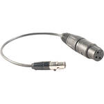 Anchor-Audio 6000-XLR Miniature 4-pin XLR to Standard Female XLR