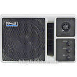Anchor-Audio AN-130U1 - Powered Speaker with Wireless Receiver