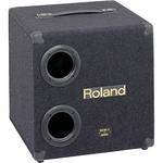 Roland KCW-1 200W 10" Powered Subwoofer
