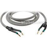Monster Cable THX 1000 Banana Ends Speaker Cable (12 Gauge) - 10'