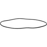 Ikelite O-Ring for Modular Lite (Replacement)