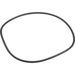 Ikelite 0110 O-Ring for Digital Housing