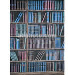 Studio Dynamics 5x6' Canvas Scenic Background LSM - Bookcase #2