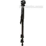 Manfrotto by Bogen Imaging 679B Monopod (Black) with 234 Head