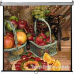 Vutec Econo Pro Manual Wall Front Projection Screen (50x50") 