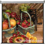 Vutec Econo Pro Manual Wall Front Projection Screen (84x84") 