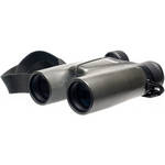 Nikon 8x32 d RC execulite II (gray)