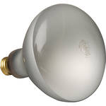 Altman 300 Watt, 120 Volt Flood Lamp
