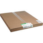 Fujifilm Fujicolor Crystal Archive Super C 16x20-50 Sheets (Matte)