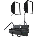 Westcott Monte Zucker Window Two Light Kit