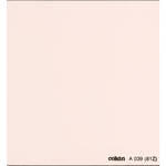 Cokin A039 Warm (81Z) Resin Filter