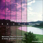 Formatt 52 mm Solid Color Magenta  1 Glass Filter