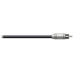 Pro Co Sound RAC Kable - RCA  to Blunt End Patch Cable - 20'