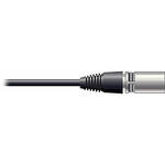 Pro Co Sound RAC Kable - XLR Male  to Blunt End Patch Cable - 30'
