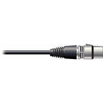 Pro Co Sound RAC Kable - XLR Female  to Blunt End Patch Cable - 30'