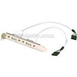 Belkin Cabo USB de Placa M�e � 6� (15.42 cm)