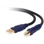 Belkin Gold Series USB 2.0 Cable A to B  - 6' (1.83 m)